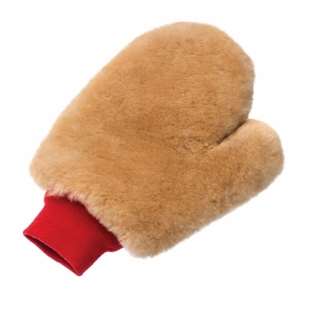 ������ ����������